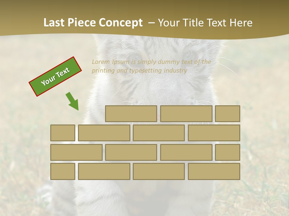 Baby White Tigers PowerPoint Template