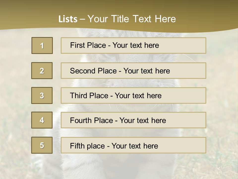 Baby White Tigers PowerPoint Template