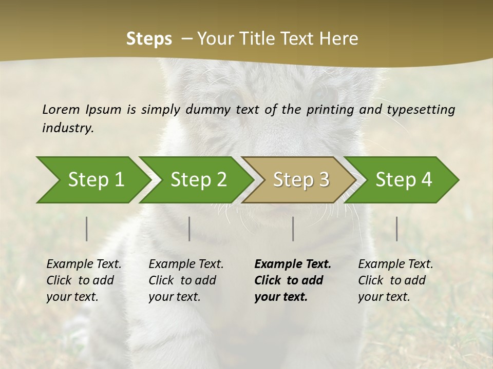 Baby White Tigers PowerPoint Template