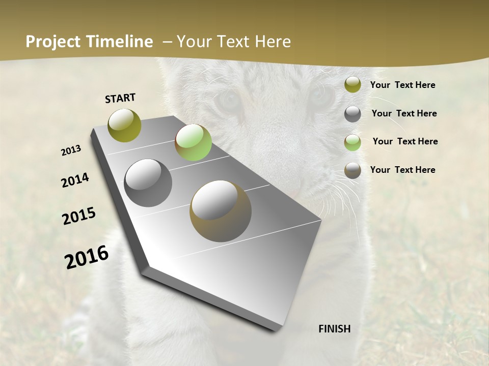 Baby White Tigers PowerPoint Template