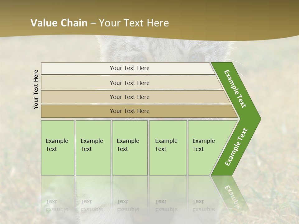 Baby White Tigers PowerPoint Template