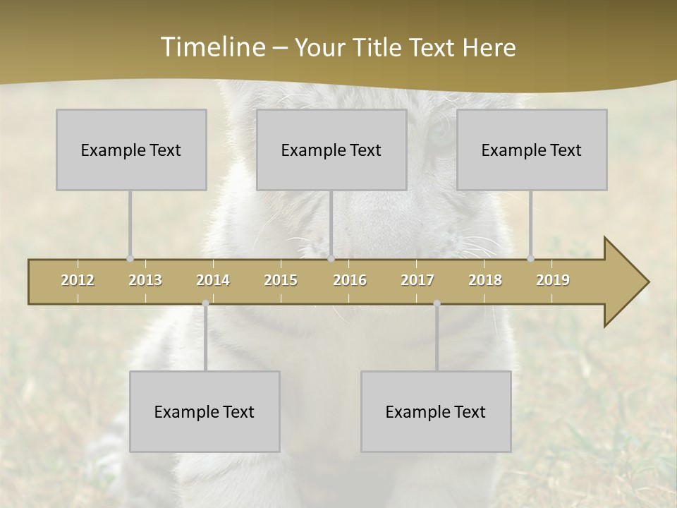 Baby White Tigers PowerPoint Template