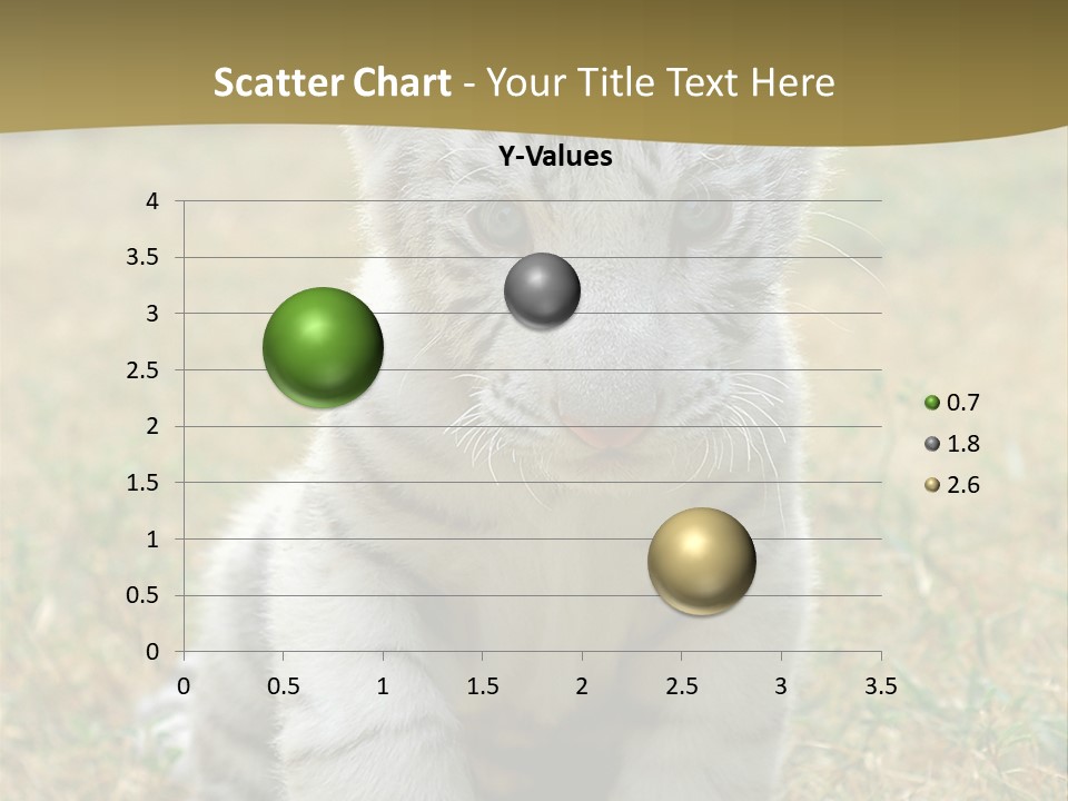 Baby White Tigers PowerPoint Template