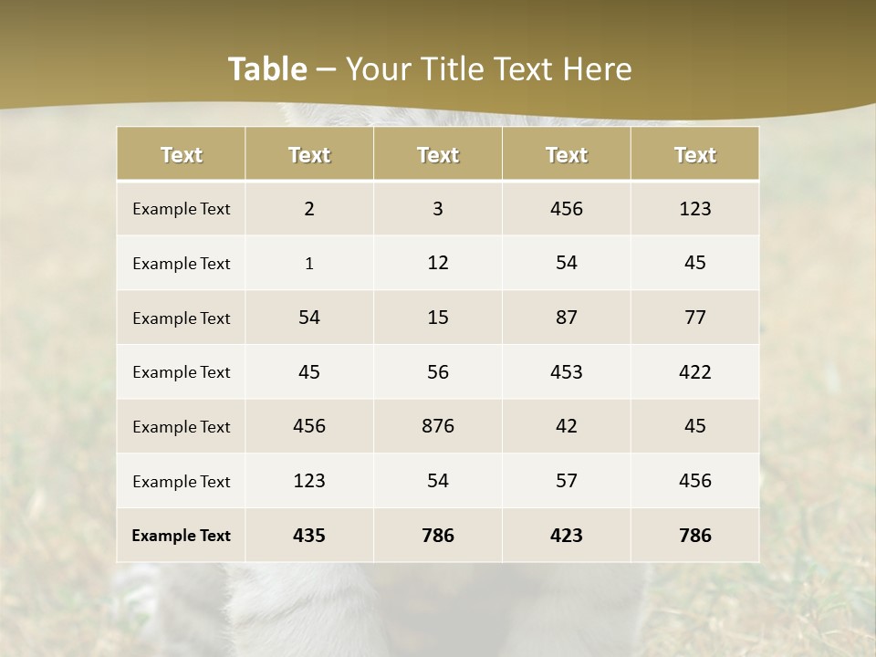 Baby White Tigers PowerPoint Template