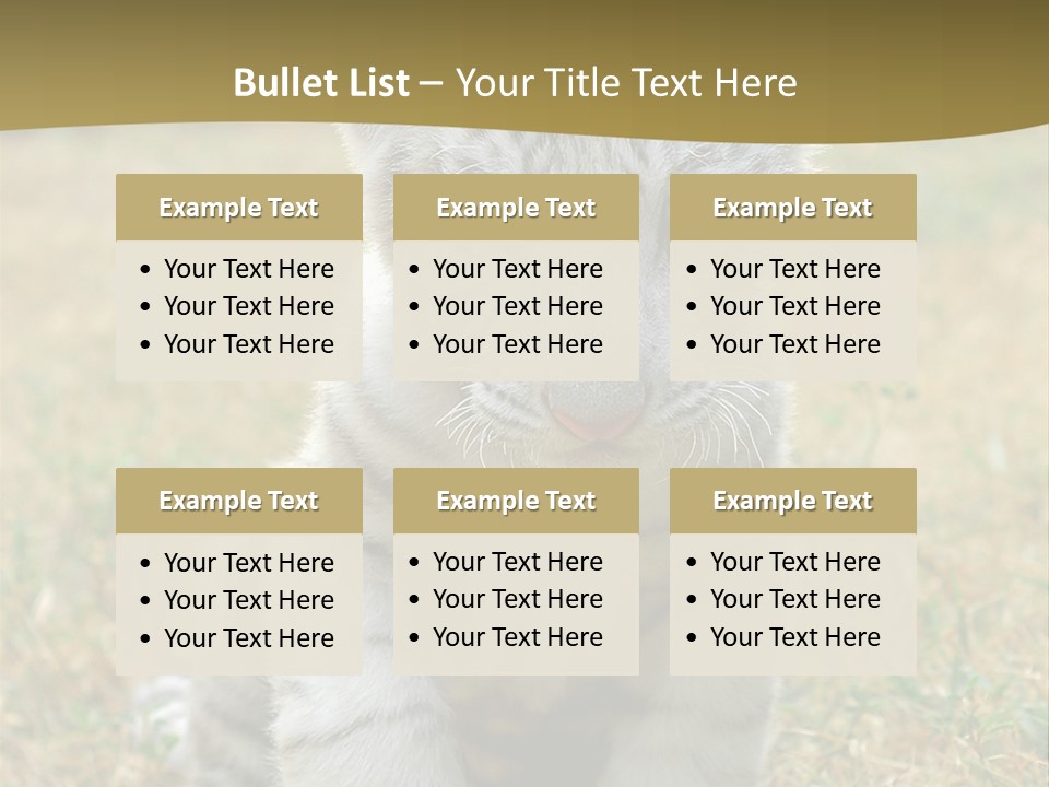 Baby White Tigers PowerPoint Template