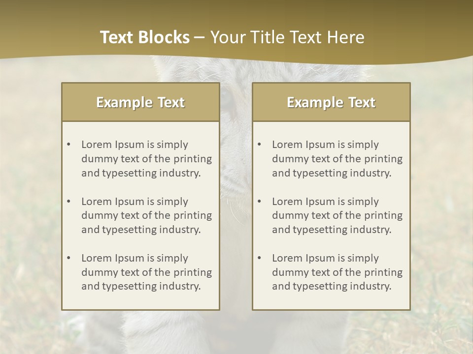 Baby White Tigers PowerPoint Template