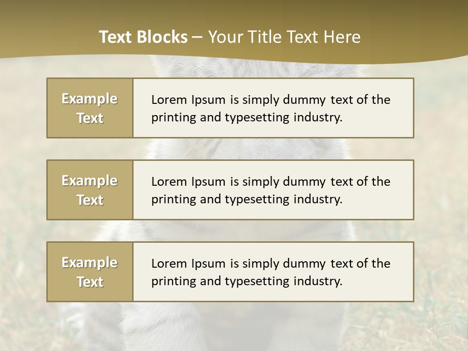 Baby White Tigers PowerPoint Template