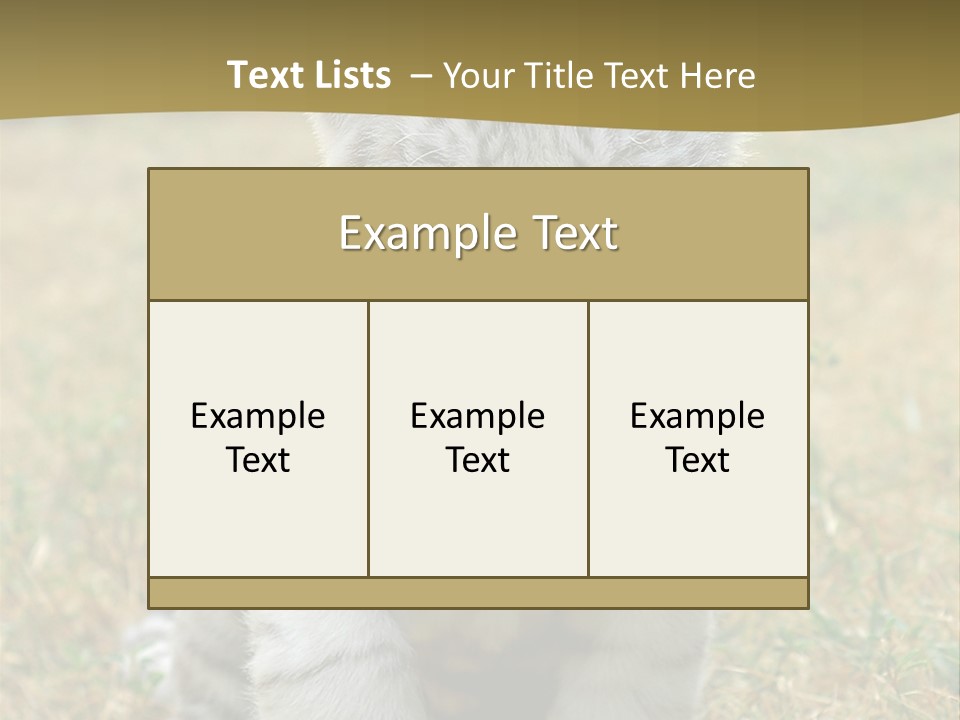 Baby White Tigers PowerPoint Template