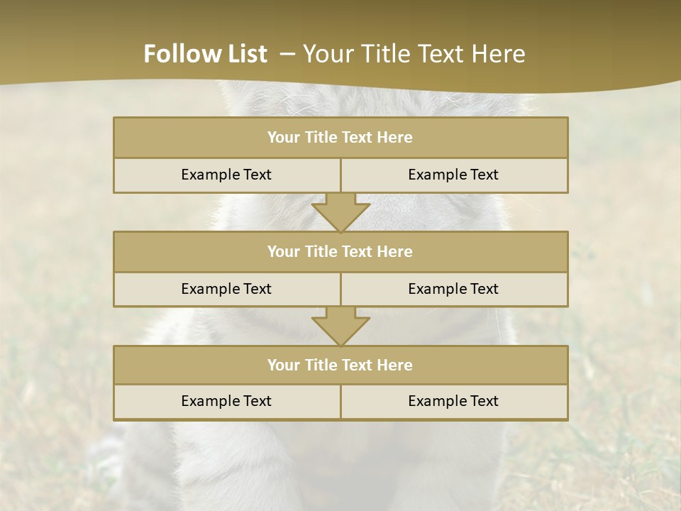 Baby White Tigers PowerPoint Template