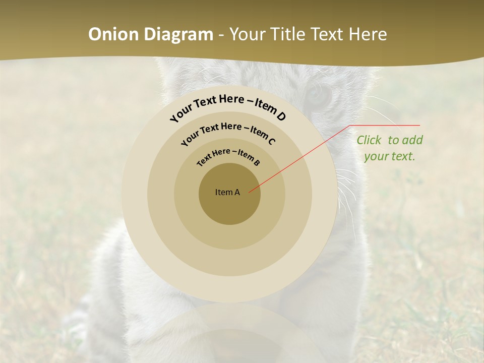 Baby White Tigers PowerPoint Template