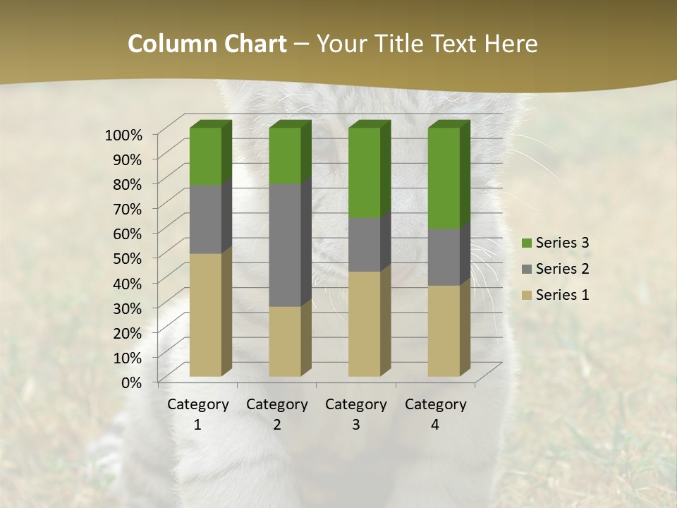 Baby White Tigers PowerPoint Template