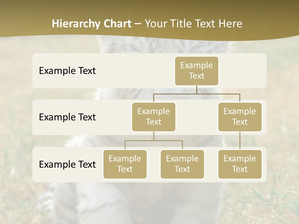 Baby White Tigers PowerPoint Template