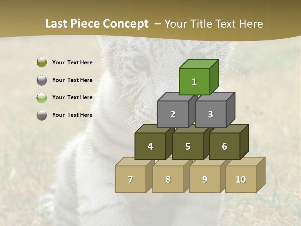 Baby White Tigers PowerPoint Template
