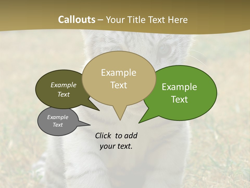 Baby White Tigers PowerPoint Template