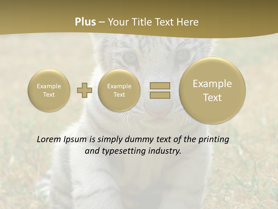 Baby White Tigers PowerPoint Template