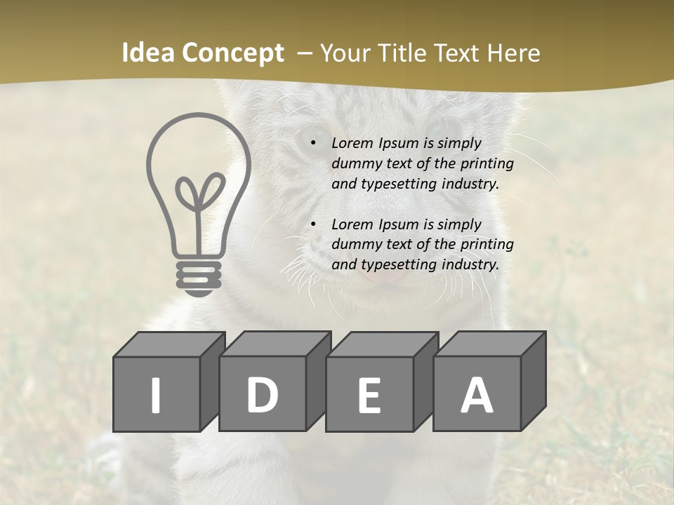 Baby White Tigers PowerPoint Template