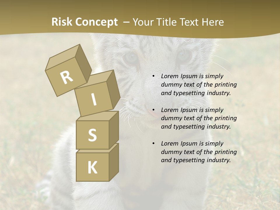 Baby White Tigers PowerPoint Template