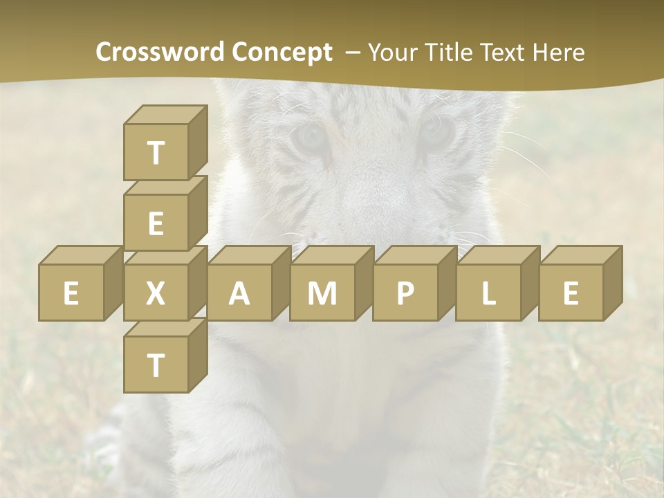 Baby White Tigers PowerPoint Template