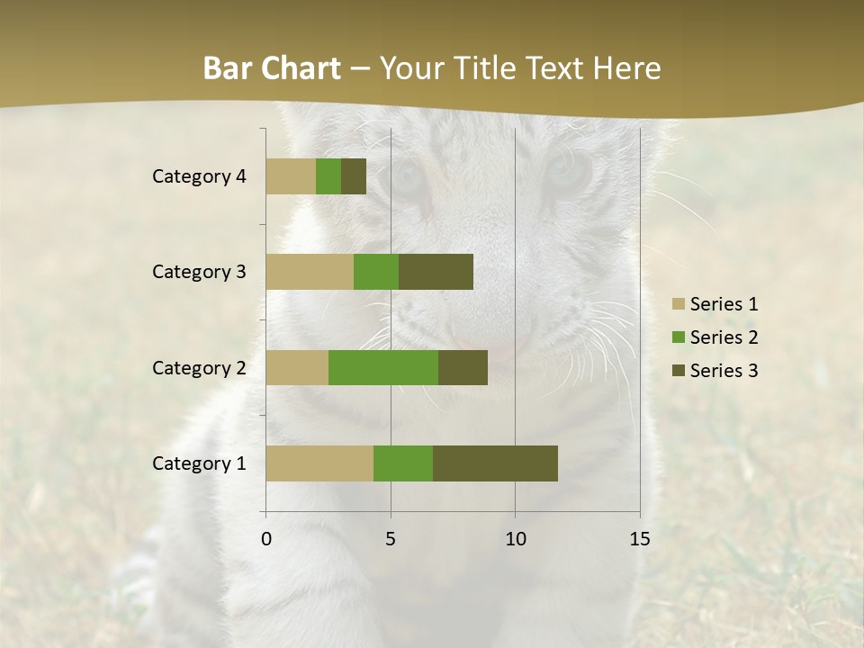 Baby White Tigers PowerPoint Template