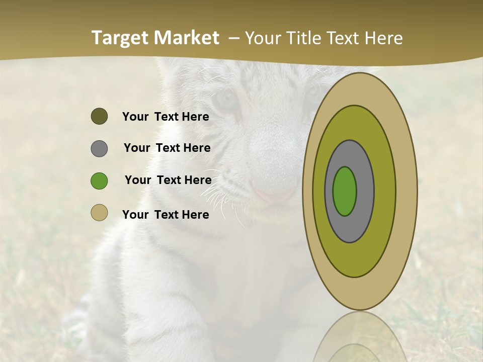 Baby White Tigers PowerPoint Template
