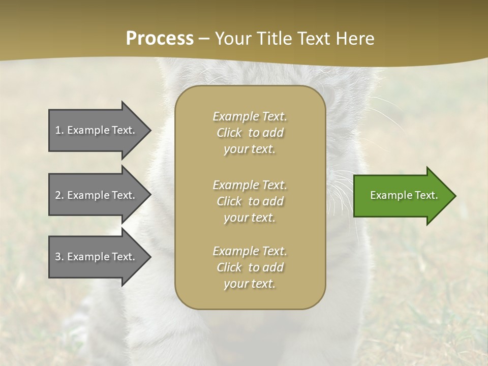 Baby White Tigers PowerPoint Template