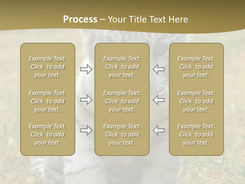 Baby White Tigers PowerPoint Template