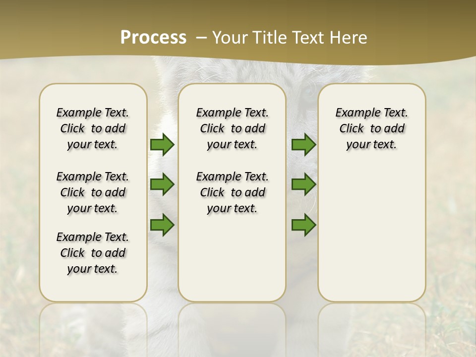 Baby White Tigers PowerPoint Template