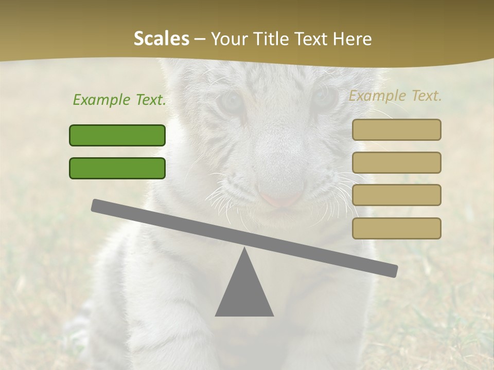 Baby White Tigers PowerPoint Template