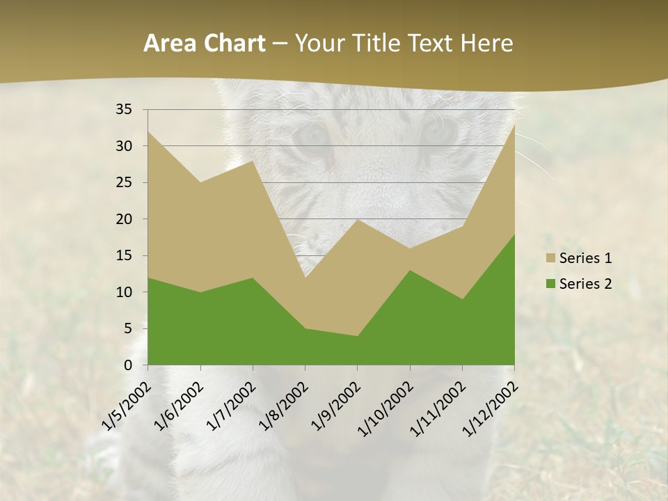 Baby White Tigers PowerPoint Template