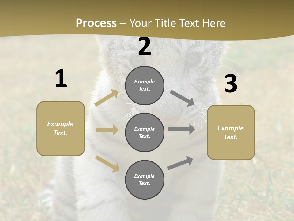 Baby White Tigers PowerPoint Template