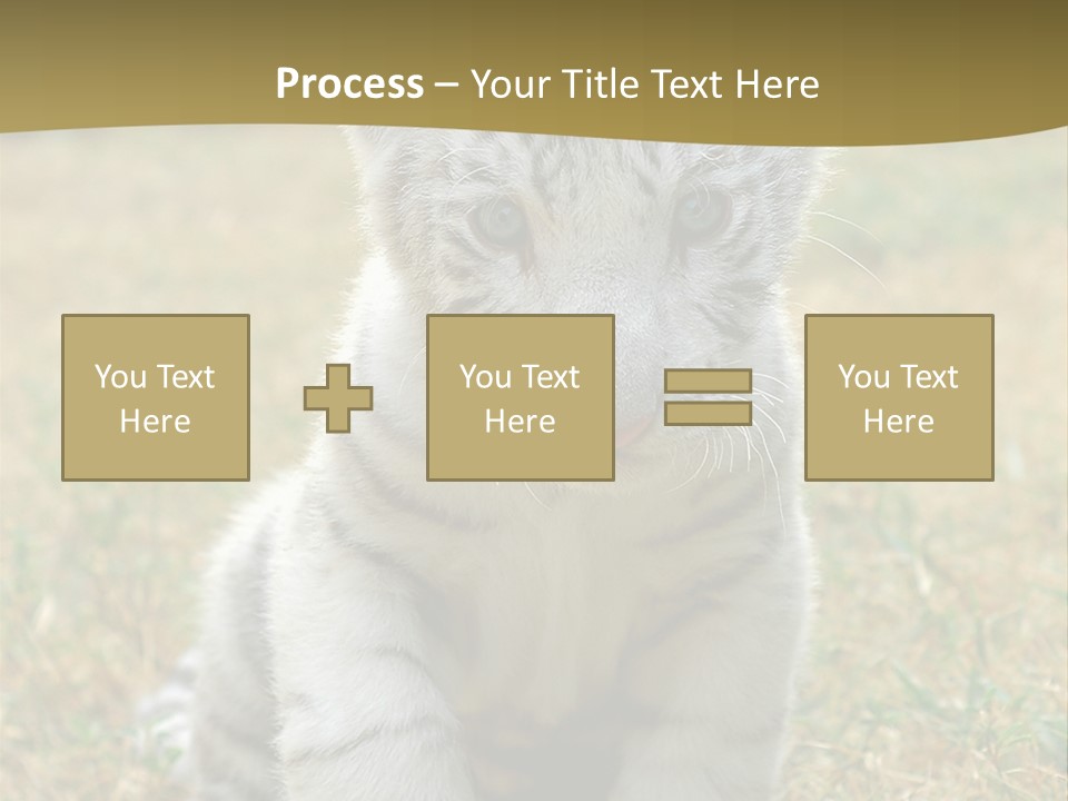 Baby White Tigers PowerPoint Template