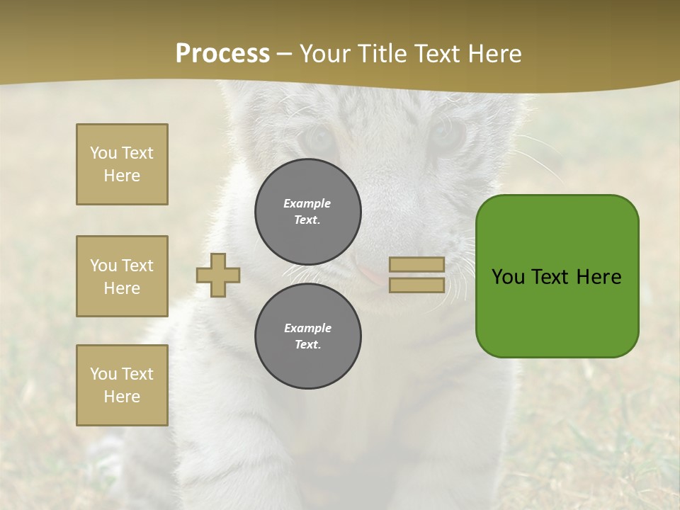 Baby White Tigers PowerPoint Template