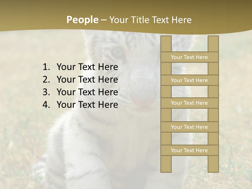 Baby White Tigers PowerPoint Template