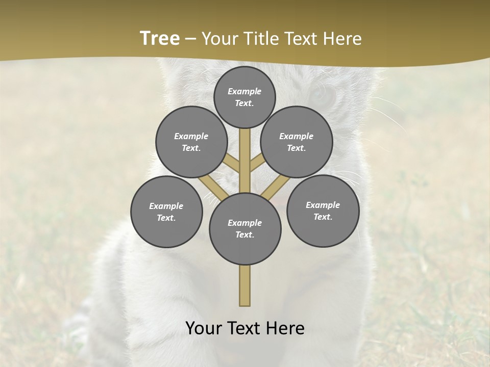 Baby White Tigers PowerPoint Template