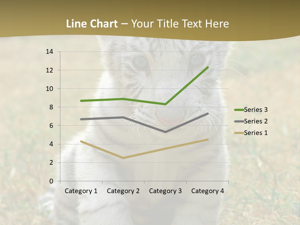 Baby White Tigers PowerPoint Template