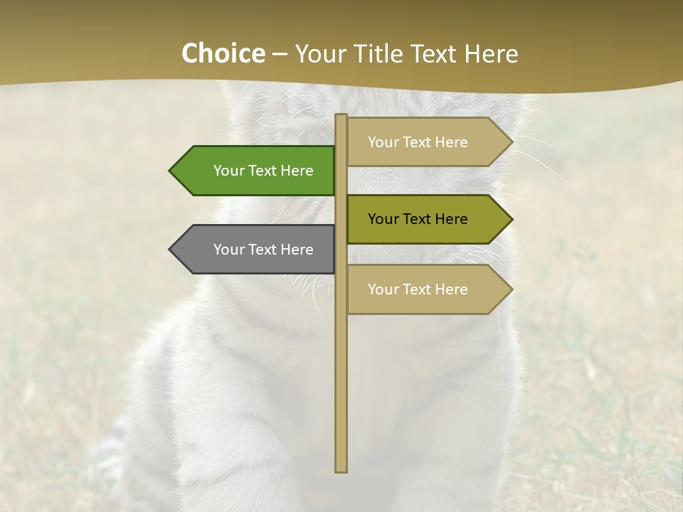 Baby White Tigers PowerPoint Template