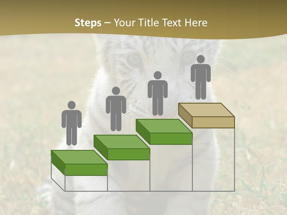 Baby White Tigers PowerPoint Template