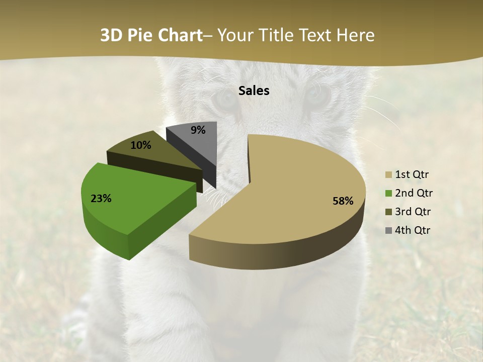 Baby White Tigers PowerPoint Template