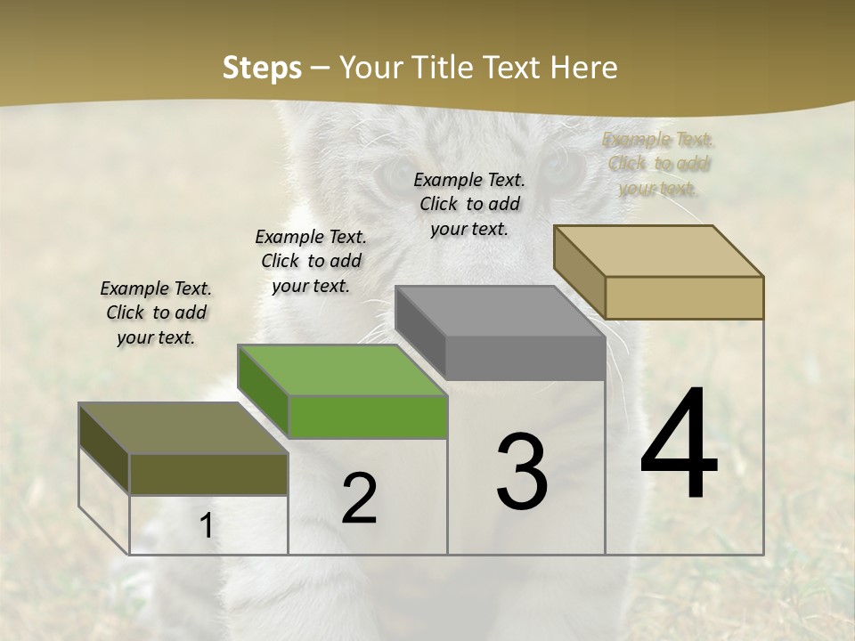 Baby White Tigers PowerPoint Template