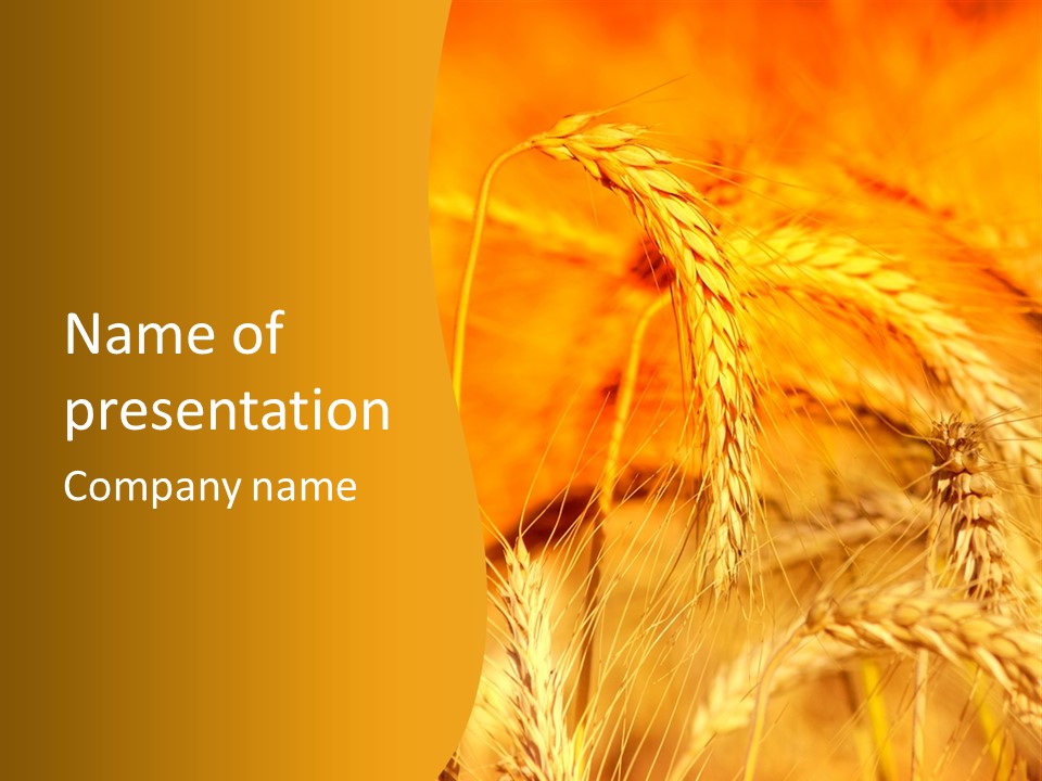 Farm Horizon Beauty PowerPoint Template