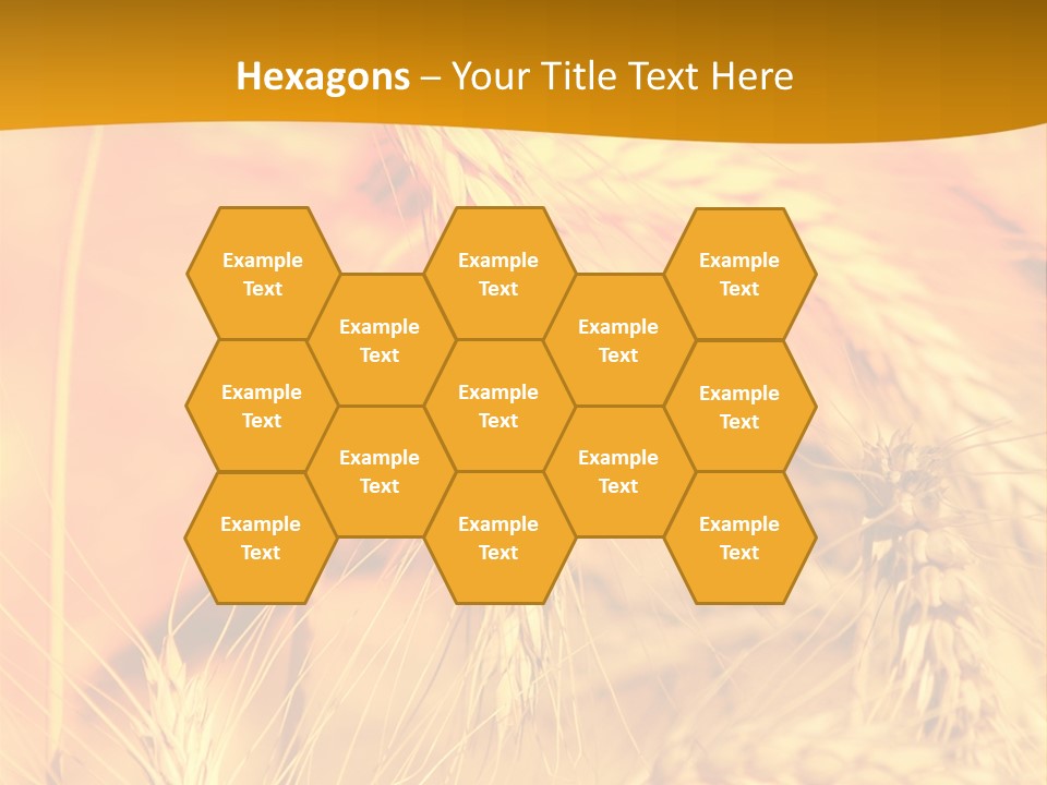 Farm Horizon Beauty PowerPoint Template