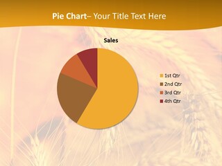 Farm Horizon Beauty PowerPoint Template