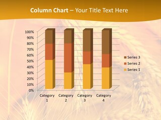 Farm Horizon Beauty PowerPoint Template