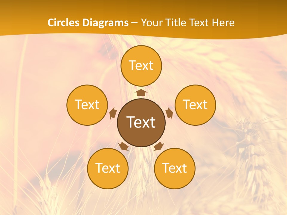 Farm Horizon Beauty PowerPoint Template