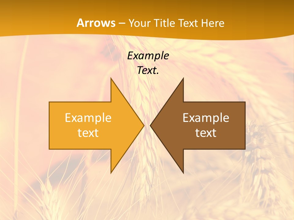 Farm Horizon Beauty PowerPoint Template
