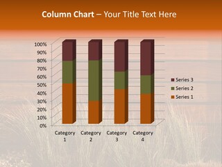 Horizontal Fence PowerPoint Template