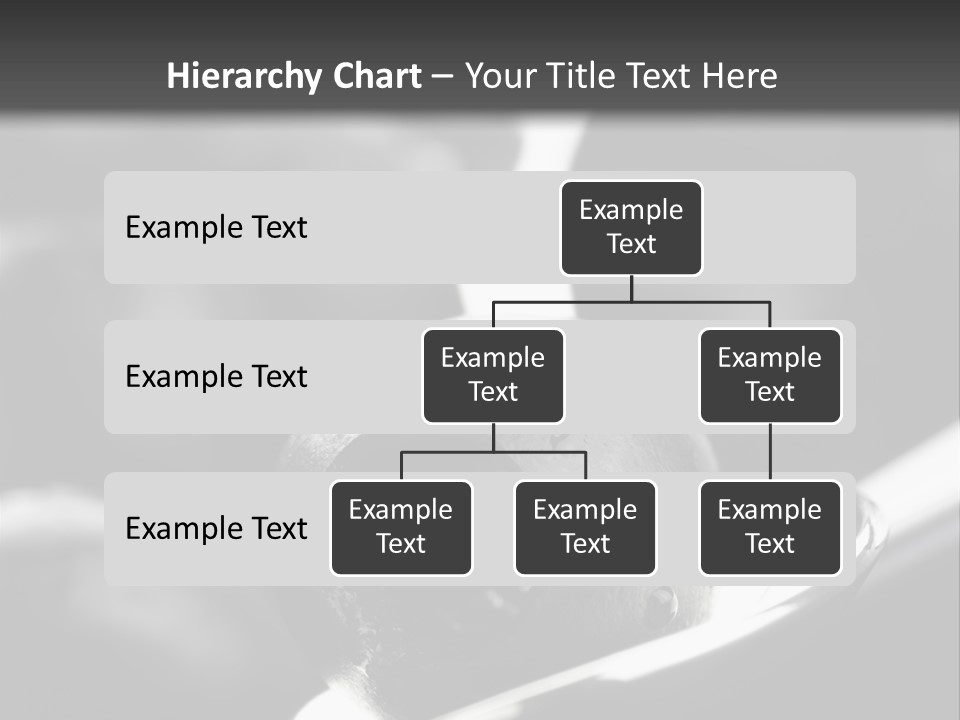 Snack Diet Black PowerPoint Template