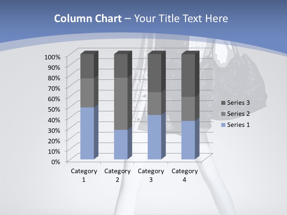 Show Mannequin Stylish PowerPoint Template