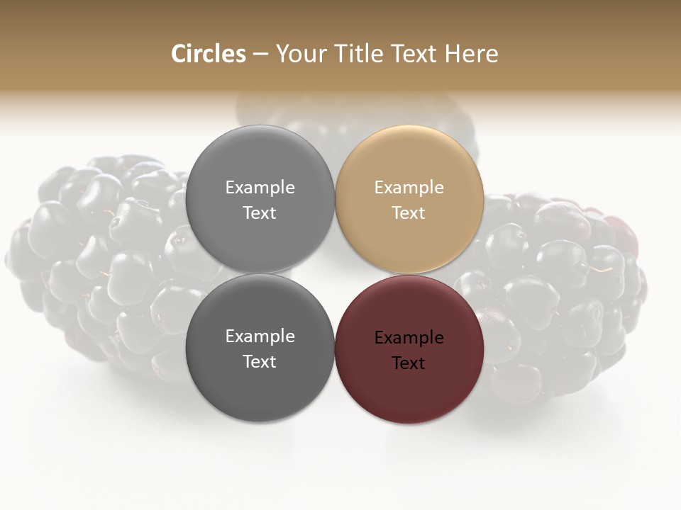 Fruit Berry White PowerPoint Template