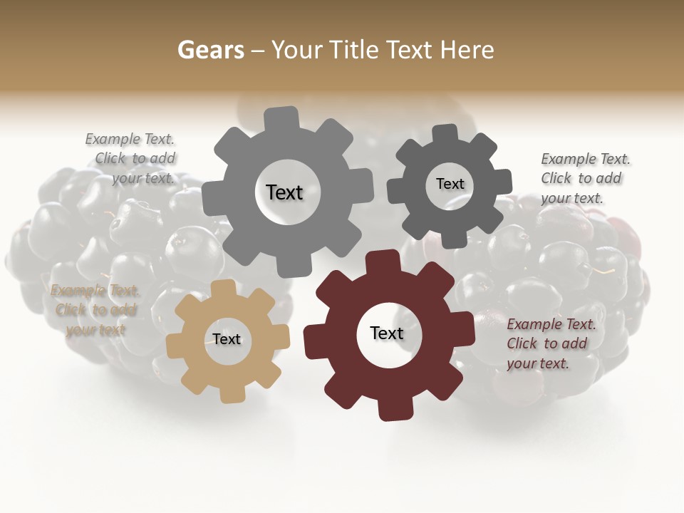 Fruit Berry White PowerPoint Template